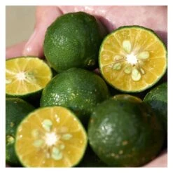 Shiseido WASO SHIKULIME COLOR CONTROL OIL-FREE MOISTURIZER SPF 30 11 Shiseido WASO SHIKULIME COLOR CONTROL OIL-FREE MOISTURIZER SPF 30 -Babor Negozio 134210 4