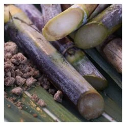 Shiseido WASO SATOCANE PORE PURIFYING SCRUB MASK -Babor Negozio 134213 4