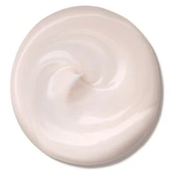 Shiseido Essential Energy Hydrating Cream 31 Shiseido Essential Energy Hydrating Cream -Babor Negozio 137420 1