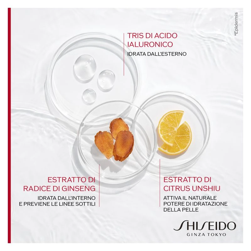 Shiseido Essential Energy Hydrating Cream 10 Shiseido Essential Energy Hydrating Cream - immagine 10