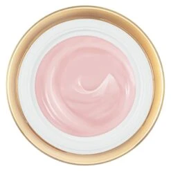 Lancome ABSOLUE CRÈME FONDANTE - CREMA SUBLIME FONDENTE RIGENERANTE CON NOBILI ESTRATTI DI ROSA 13 Lancome ABSOLUE CRÈME FONDANTE - CREMA SUBLIME FONDENTE RIGENERANTE CON NOBILI ESTRATTI DI ROSA -Babor Negozio 142019 4